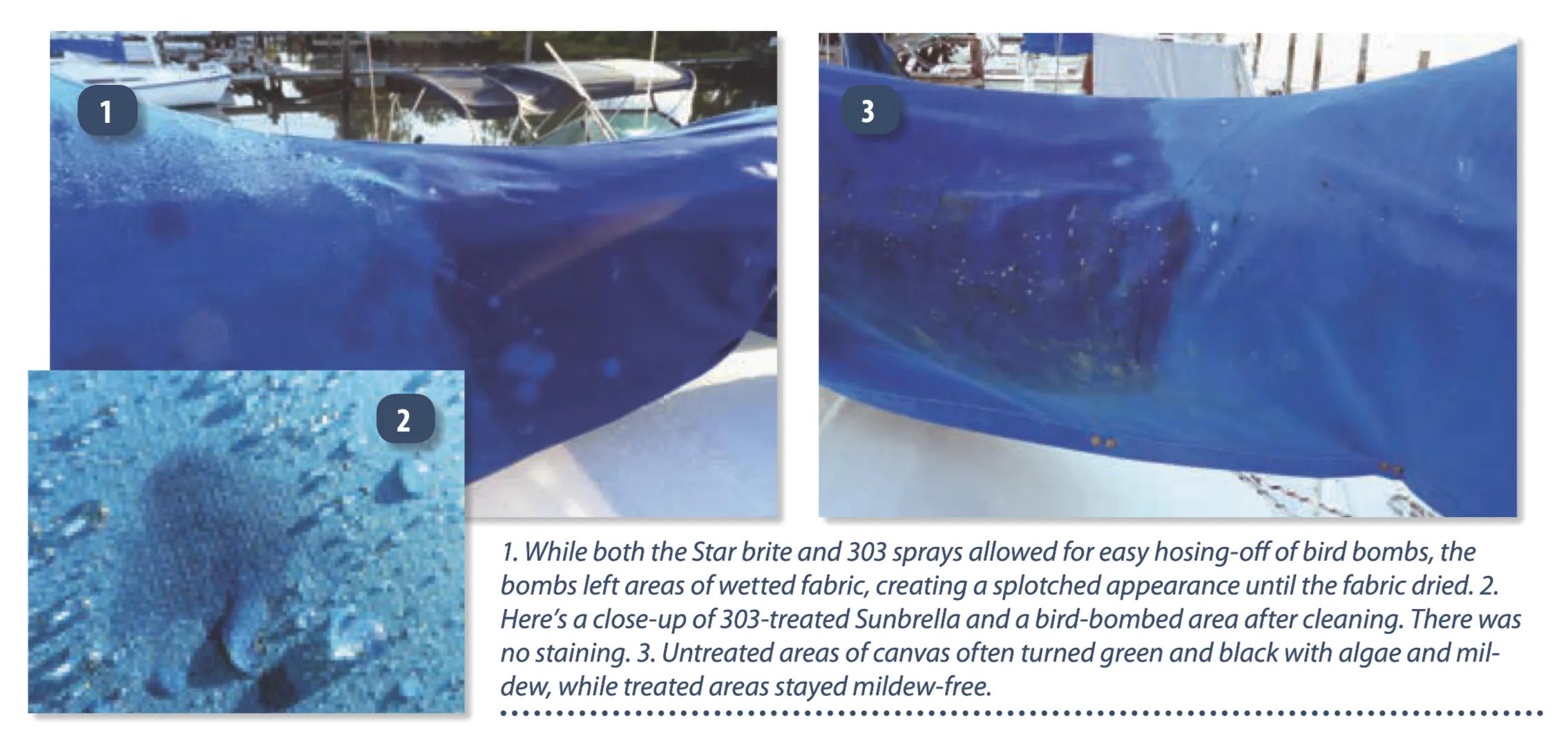 While both the Star brite and 303 sprays allowed for easy hosing-off of bird bombs, the bombs left areas of wetted fabric, creating a splotched appearance until the fabric dried. 2. Here’s a close-up of 303-treated Sunbrella and a bird-bombed area after cleaning. There was no staining. 3. Untreated areas of canvas often turned green and black with algae and mildew, while treated areas stayed mildew-free.